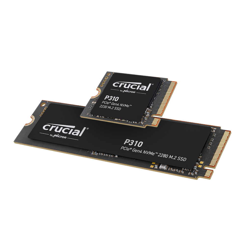 Crucial P310 Series