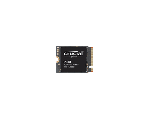 Crucial P310 2230